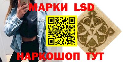 гидропоника Новокубанск