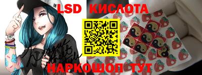 гидропоника Новокубанск