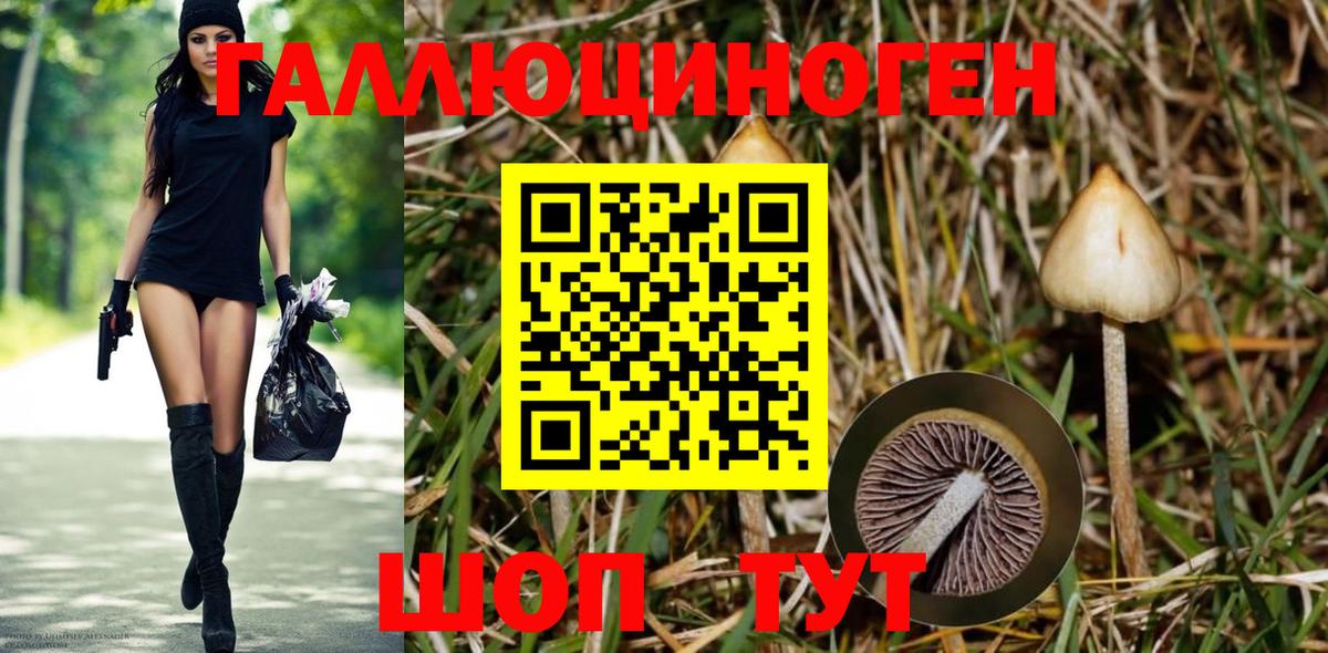 Усинск  Псилоцибиновые грибы Psilocybine cubensis  Вход с VPN 